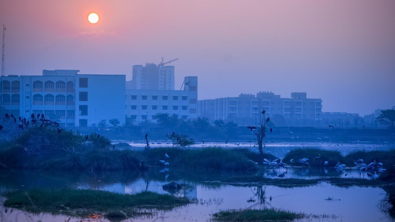 The Pallikaranai marshland in Chennai is one of the many wetlands in India. Photo: istock